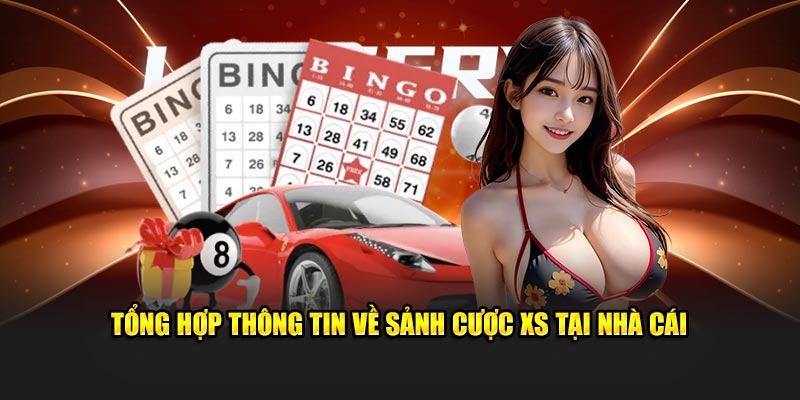 Tổng hợp thông tin về nền tảng giải trí hot hit tại nhà cái