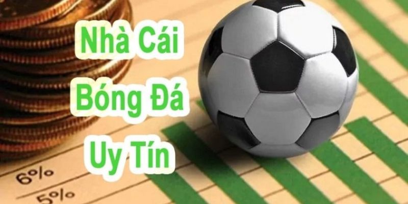 Sơ lược thông tin cơ bản về nhà cái QQ88