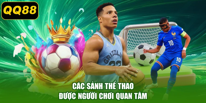 Các sảnh thể thao được người chơi quan tâm