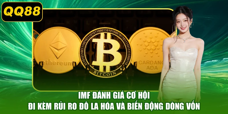 IMF đánh giá cơ hội đi kèm rủi ro đô la hóa và biến động dòng vốn
