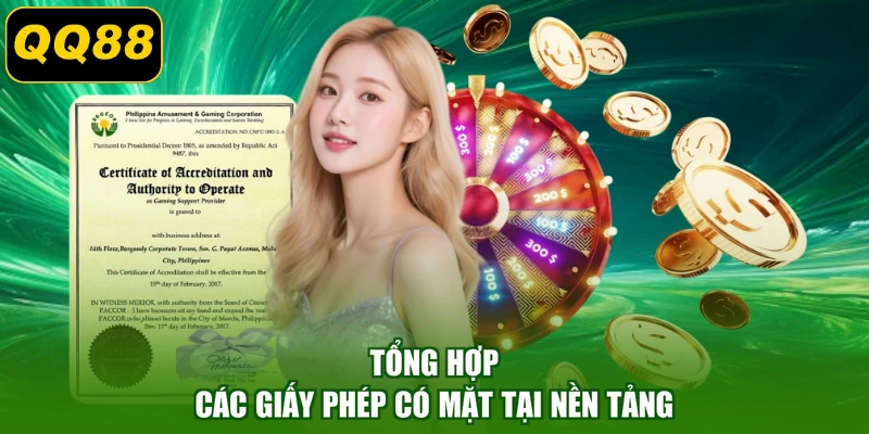 Tổng hợp các giấy phép có mặt tại nền tảng